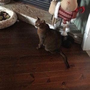 Meet your Posher, Sonia